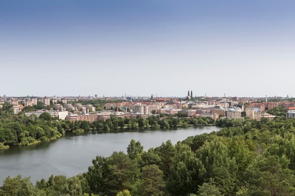 Markarbete i Gröndal Trekantens terrass